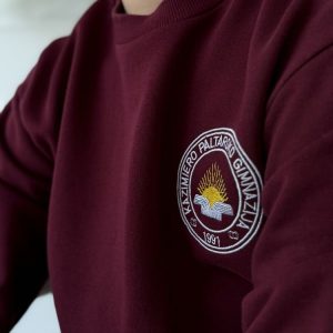 Kazimiero Paltaroko gimnazija mažas