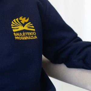 Panevėžio Saulėtekio progimnazija mažas