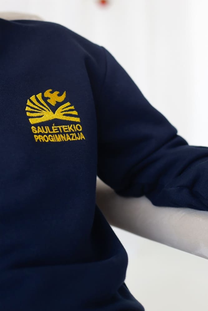 Panevėžio Saulėtekio progimnazija mažas