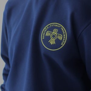Panevėžio Vyturio progimnazija mažas